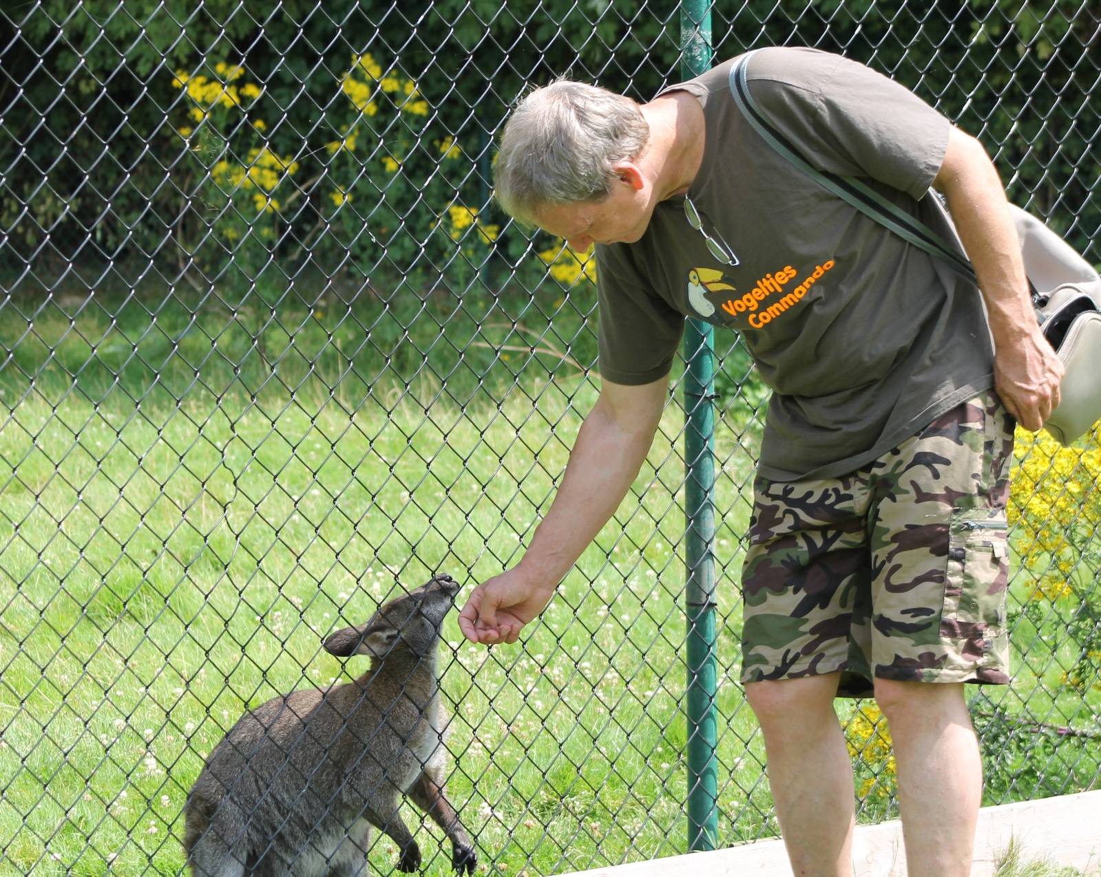 Vogelcommando with wallaby