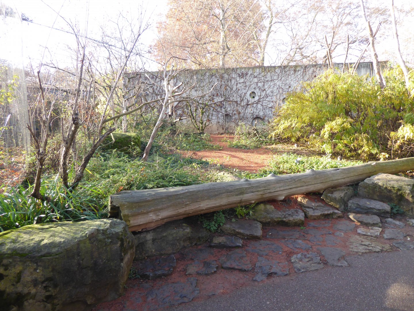 Vogelfreifluganlage 011218