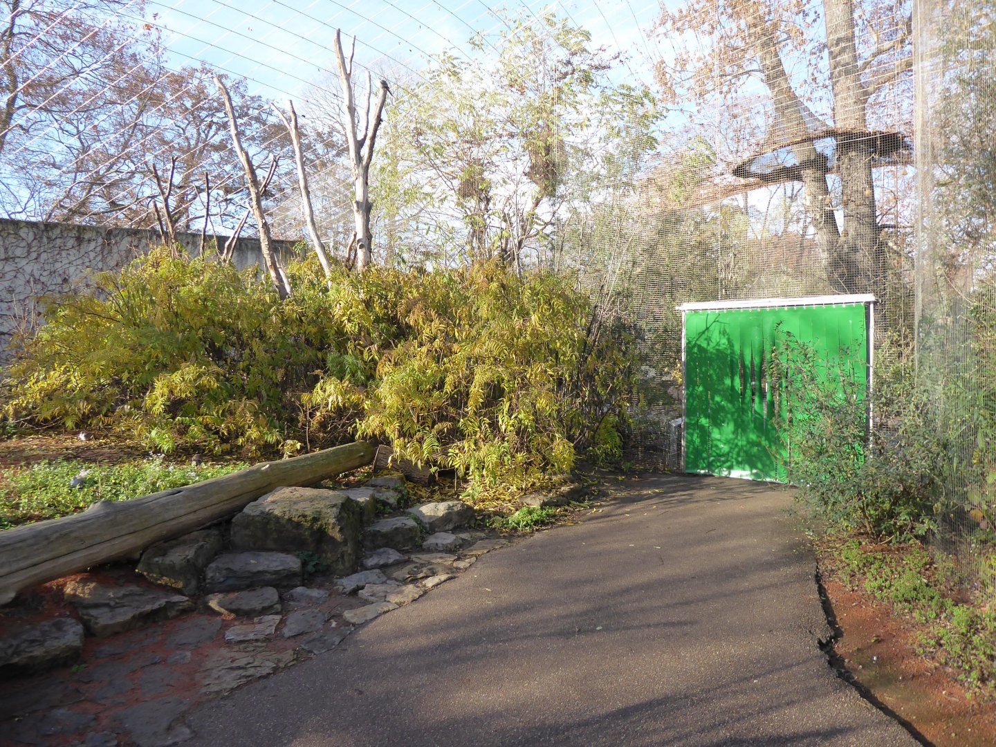 Vogelfreifluganlage 011218