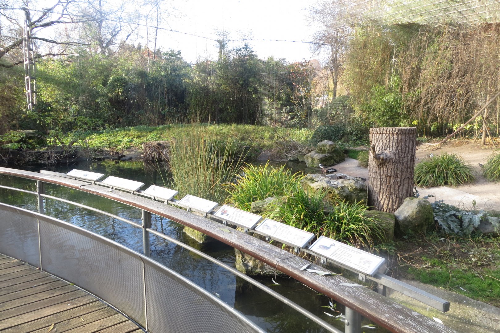 Vogelfreifluganlage 011218