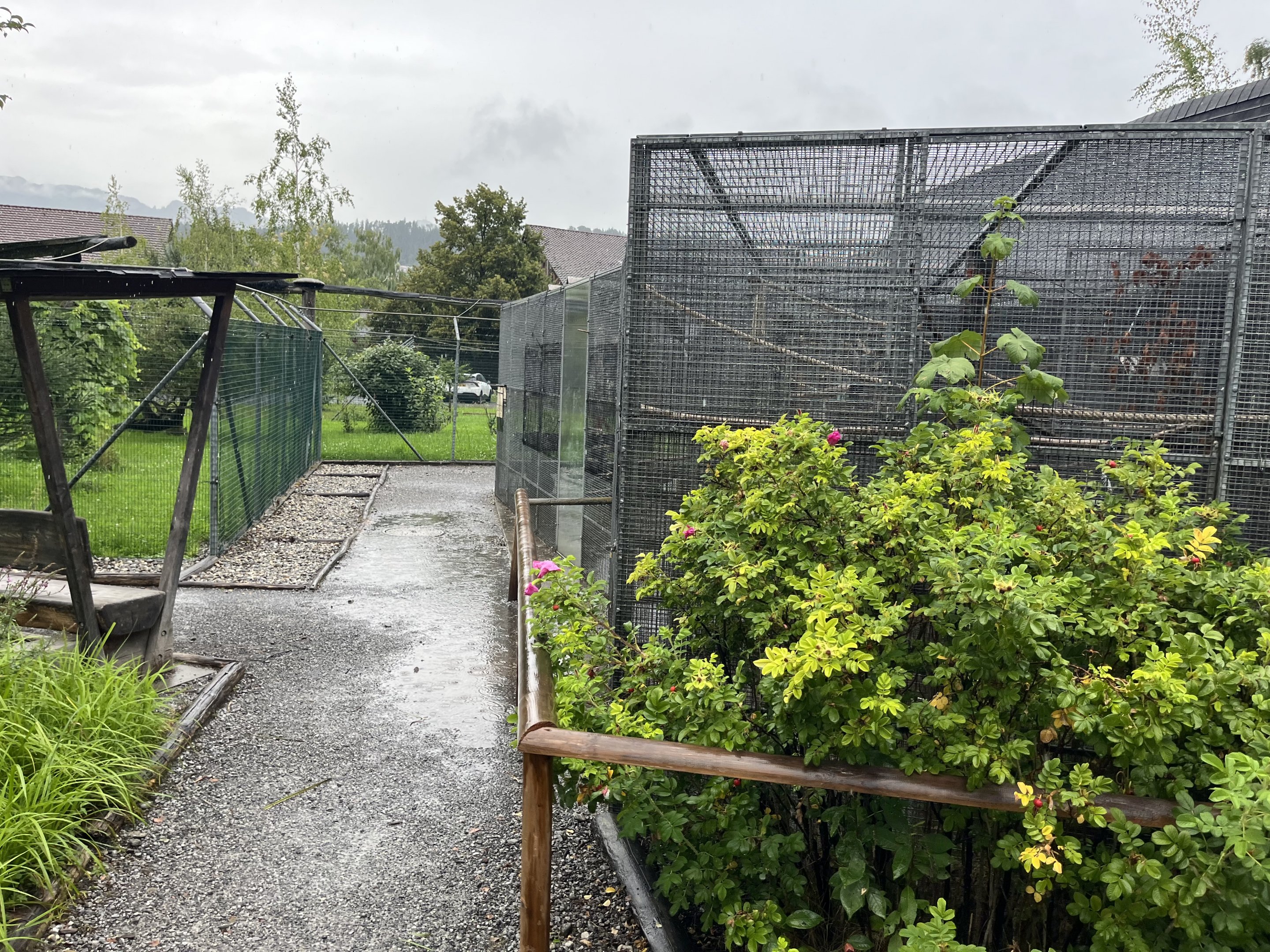 Vogelparadies Birka, Liechtenstein - General View