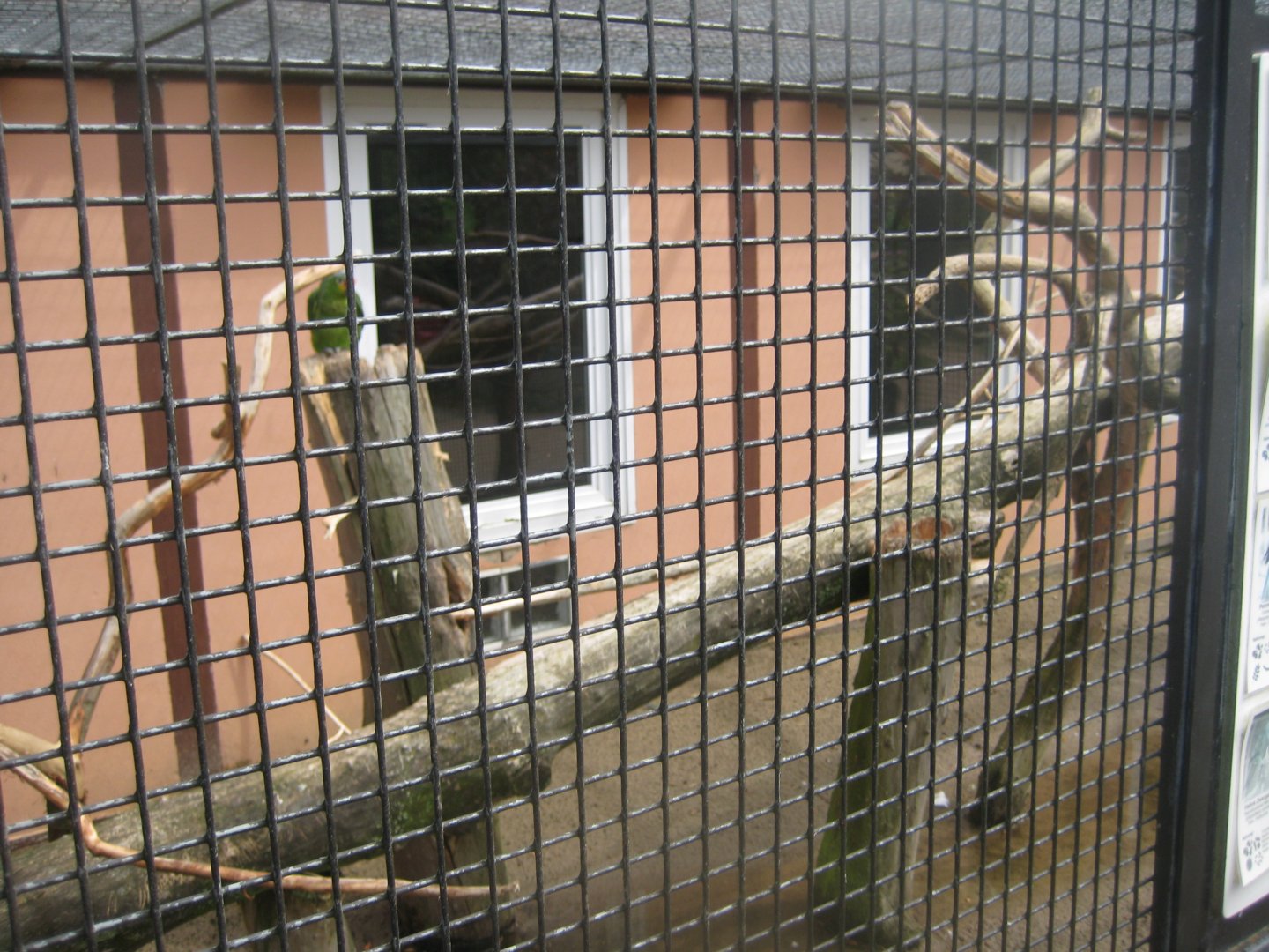 Vogelpark Niendorf - Amazon parrot/cockatoo aviary