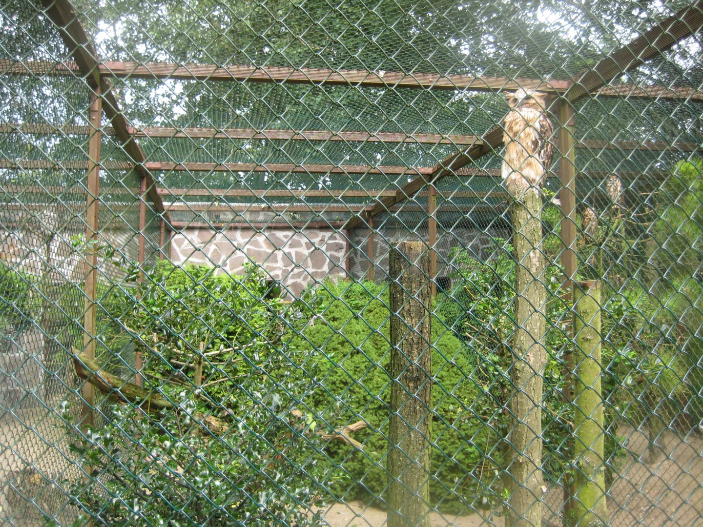 Vogelpark Niendorf - Buffy fish-owl aviary