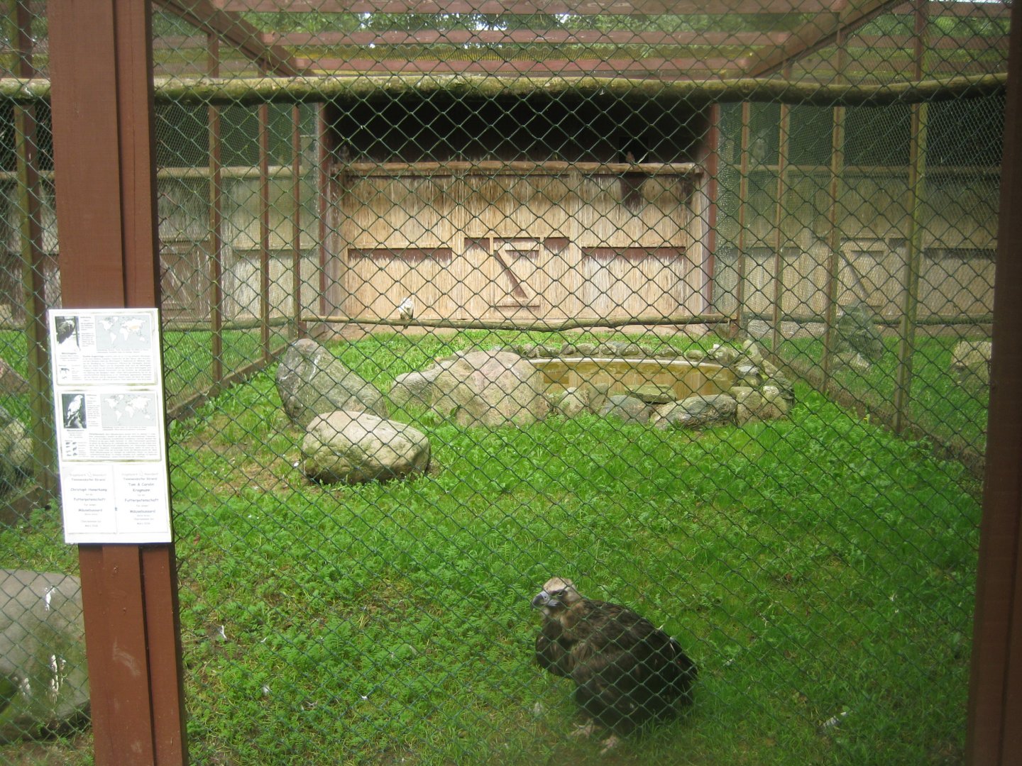 Vogelpark Niendorf - Cinereous vulture aviary