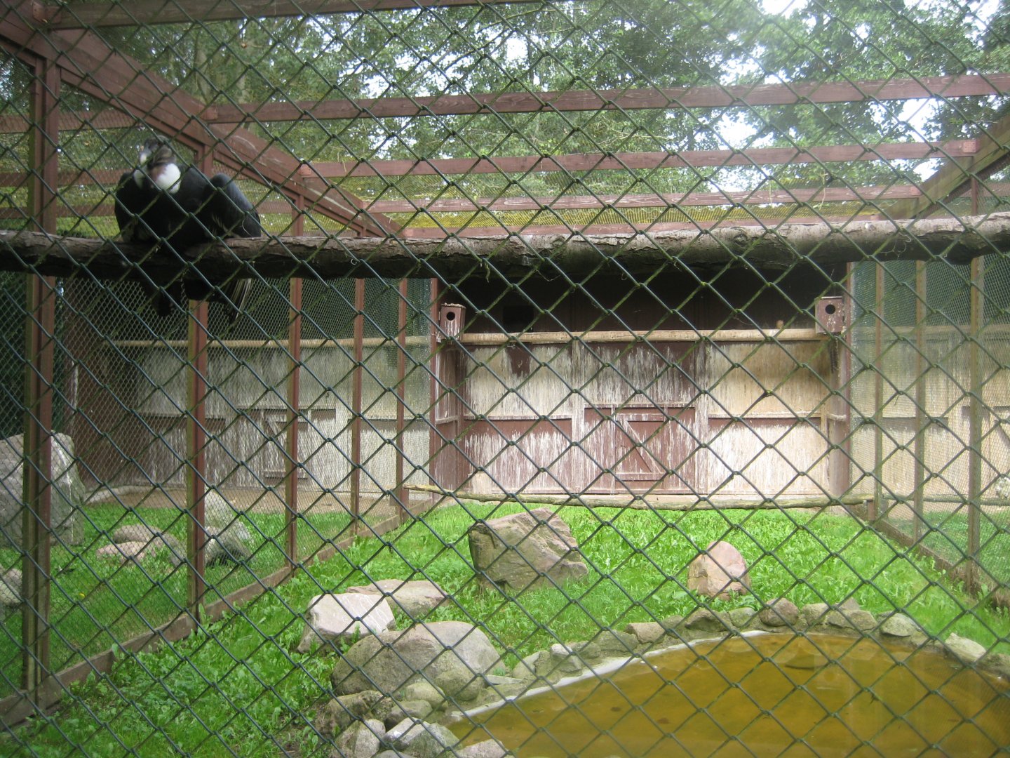 Vogelpark Niendorf - Condor aviary #2