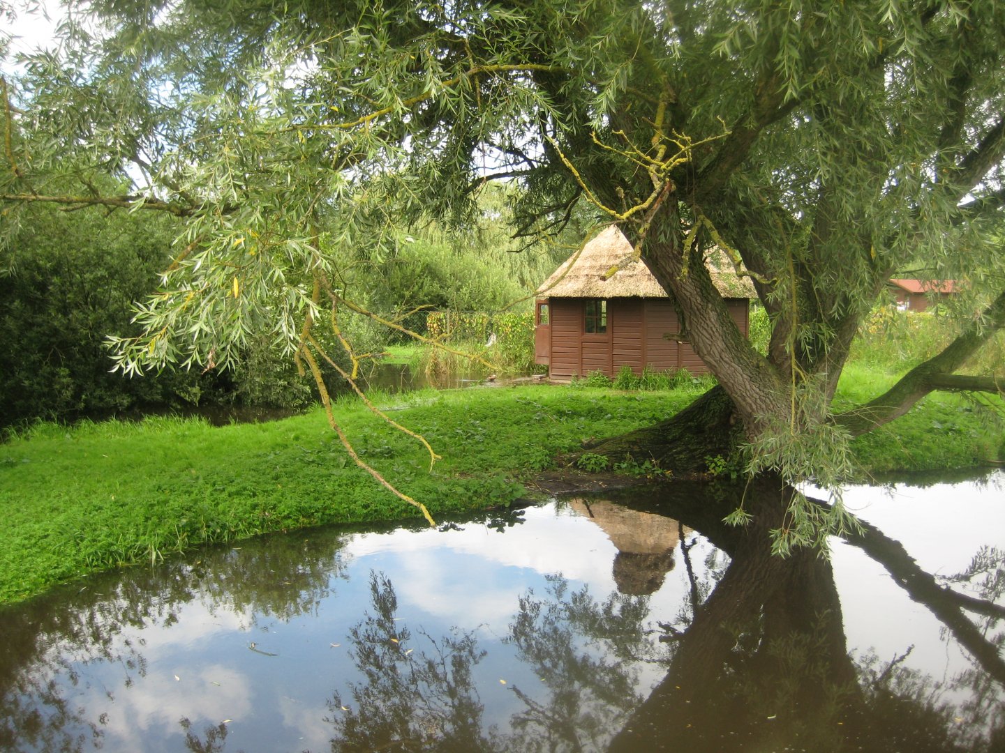 Vogelpark Niendorf - Crowned crane exhibit