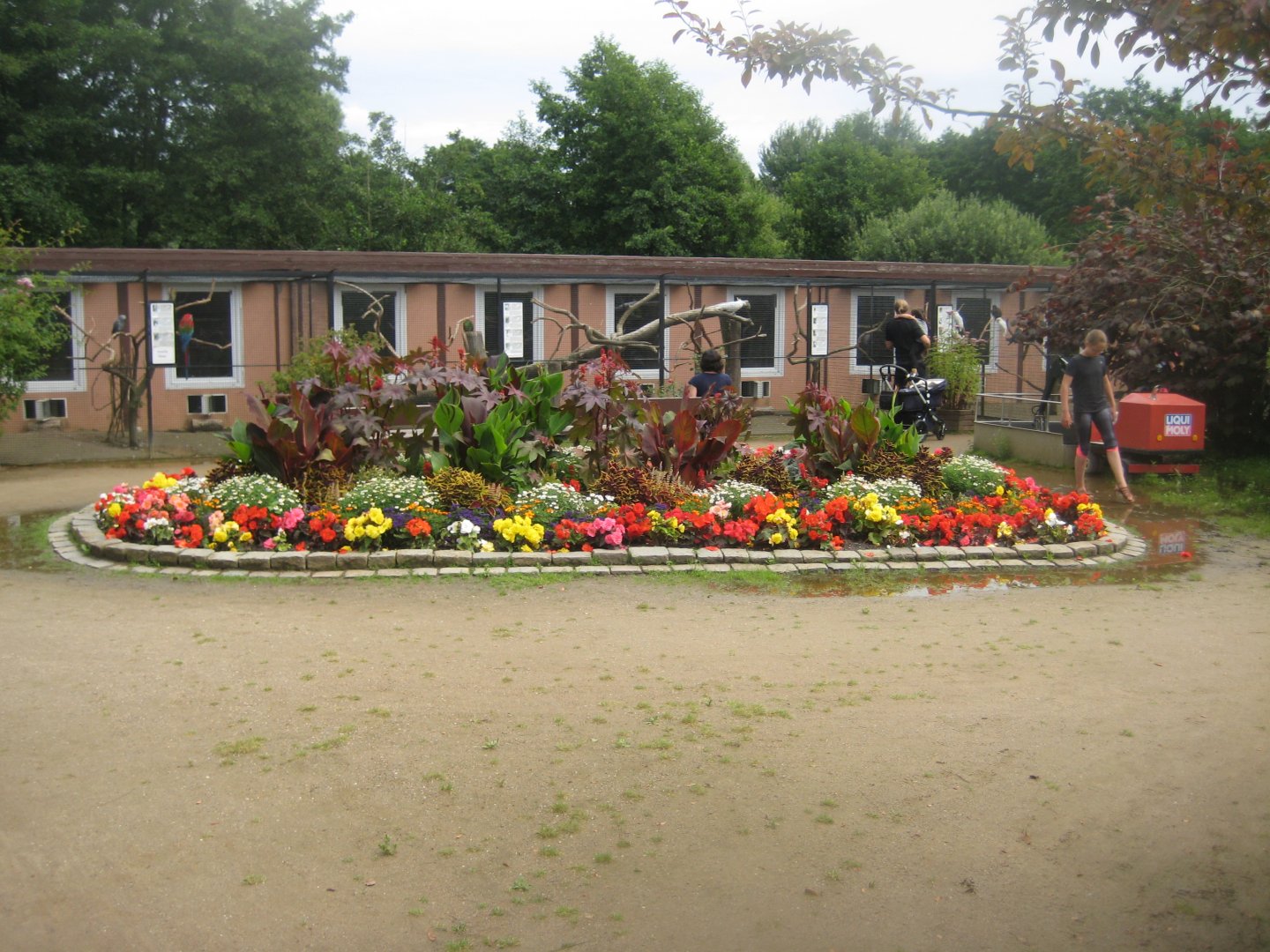 Vogelpark Niendorf - Flower display/aviaries
