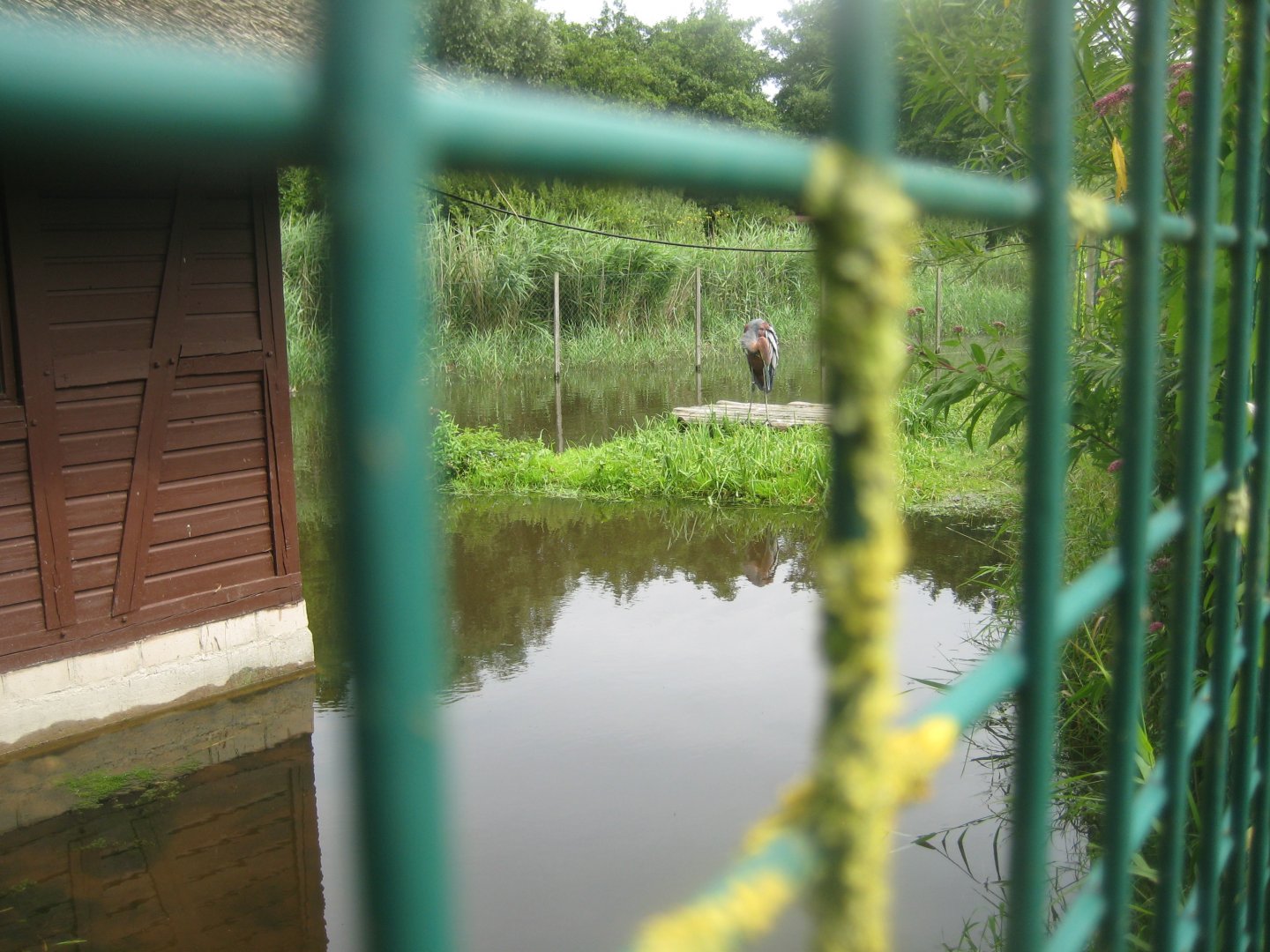 Vogelpark Niendorf - Goliath heron aviary