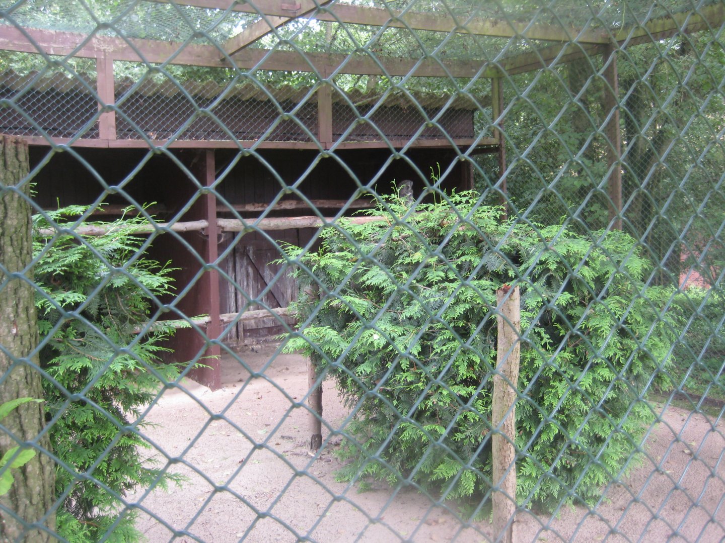 Vogelpark Niendorf - Great grey owl aviary