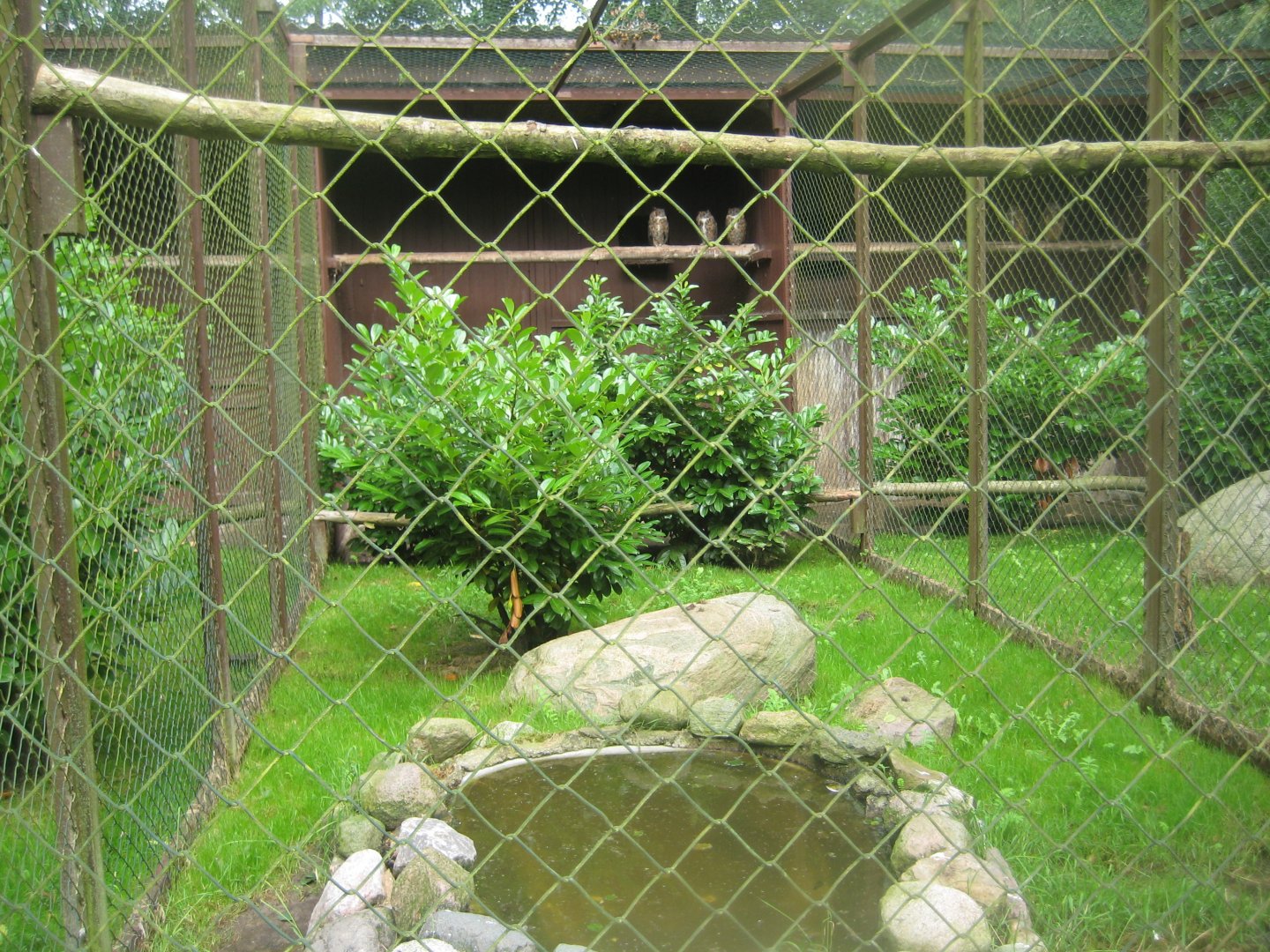 Vogelpark Niendorf - Great horned owl aviary