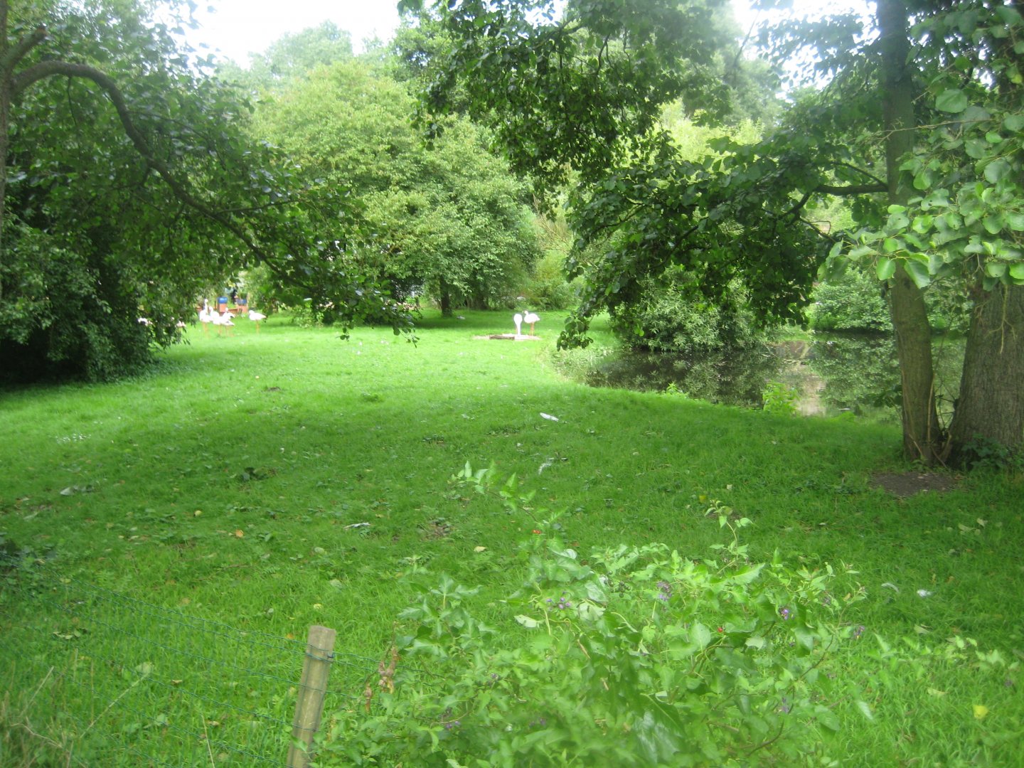 Vogelpark Niendorf - Lesser flamingo exhibit
