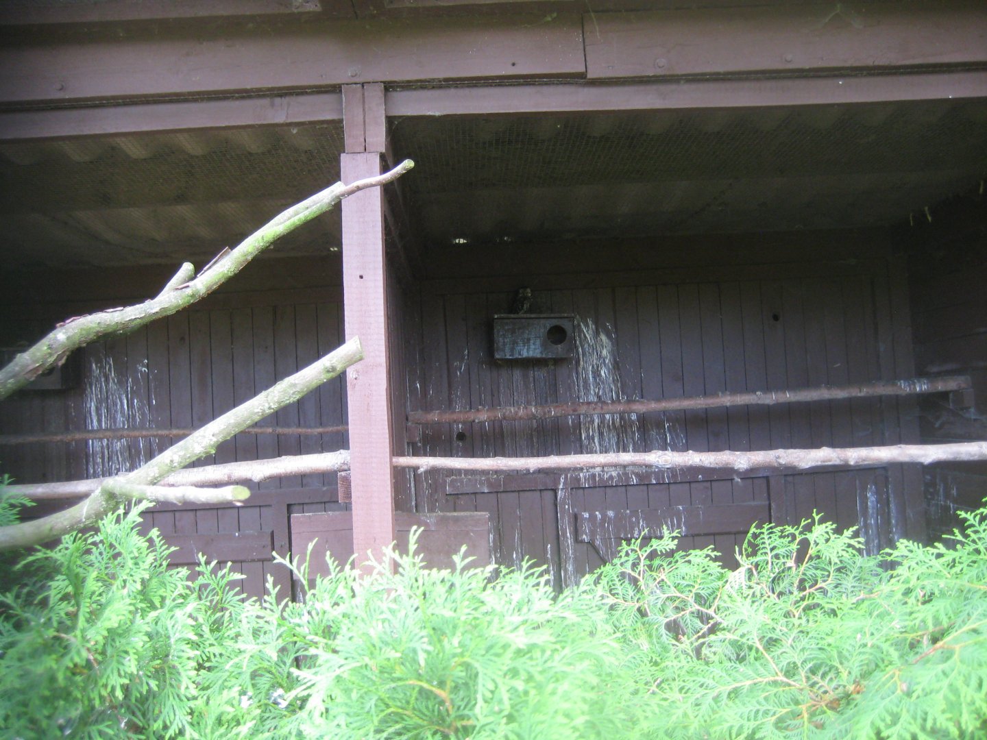 Vogelpark Niendorf - Little owl aviary