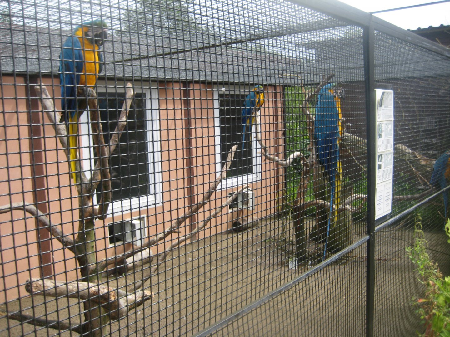 Vogelpark Niendorf - Macaw aviary