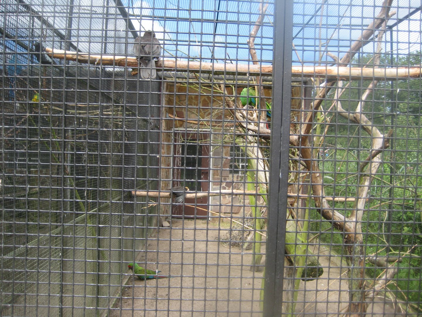 Vogelpark Niendorf - Military macaw aviary