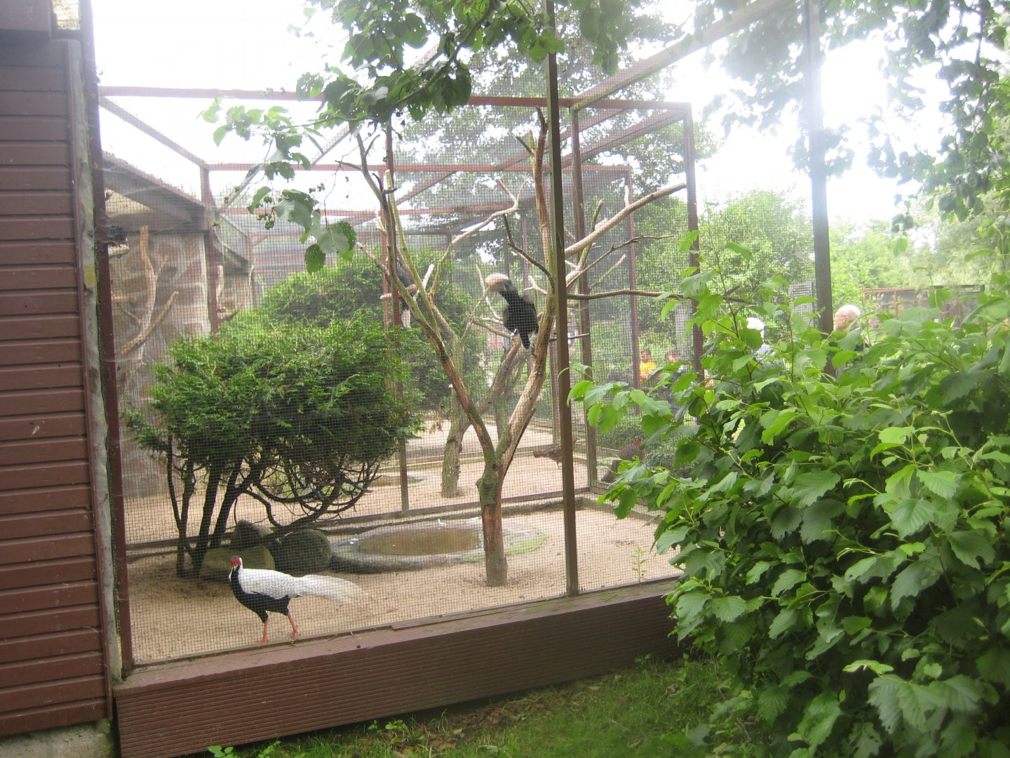 Vogelpark Niendorf - Mixed exotics #1