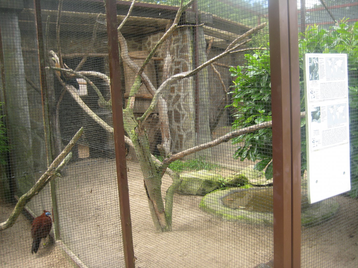 Vogelpark Niendorf - Mixed exotics #4