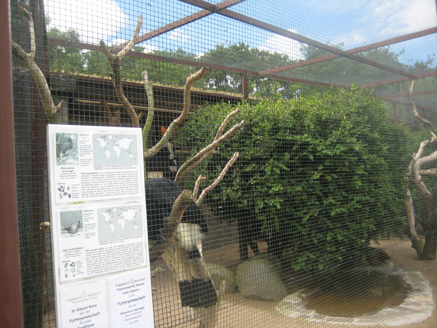 Vogelpark Niendorf - Mixed exotics #5