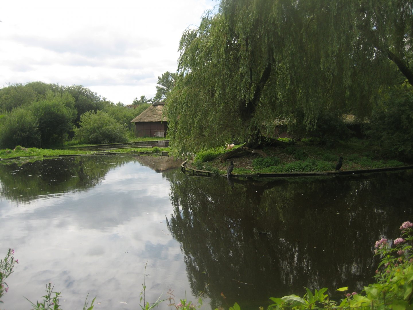 Vogelpark Niendorf - Pelican exhibit