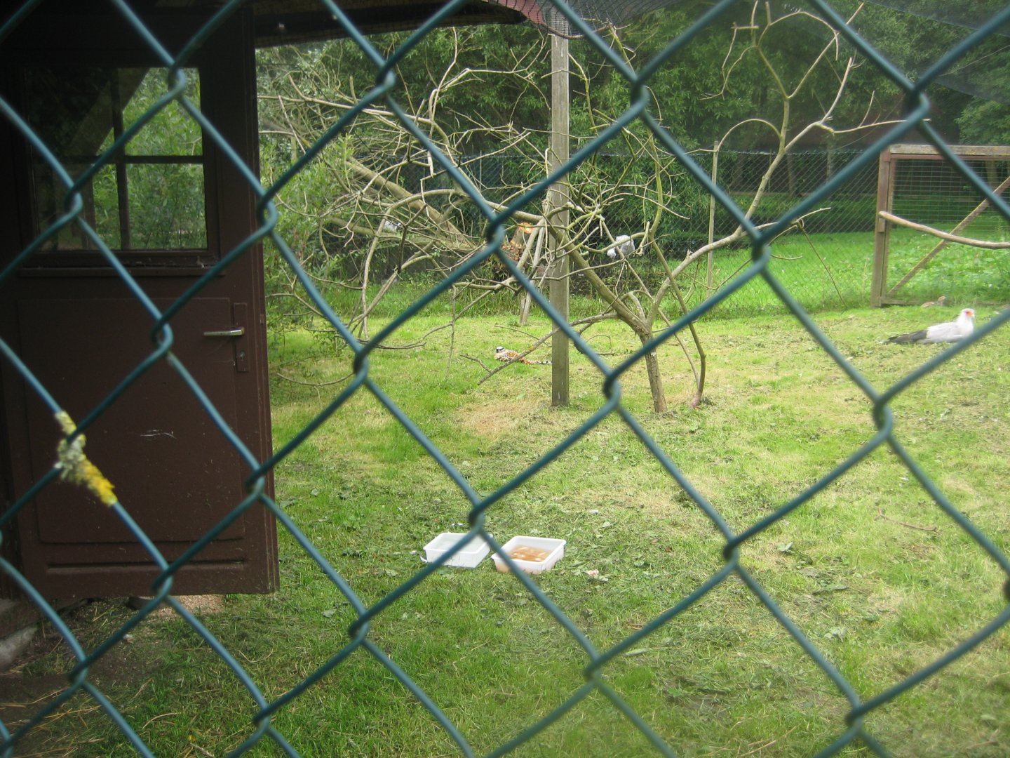 Vogelpark Niendorf - Secretary bird aviary