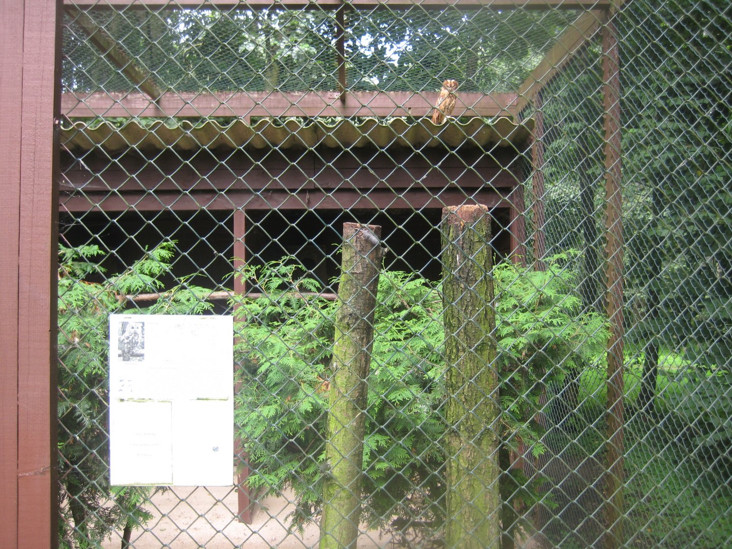Vogelpark Niendorf - Tawny owl aviary