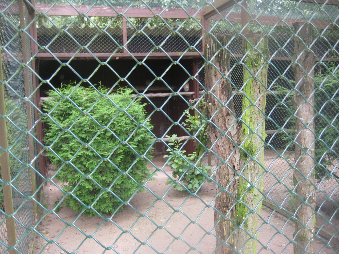 Vogelpark Niendorf - Tawny owl aviary