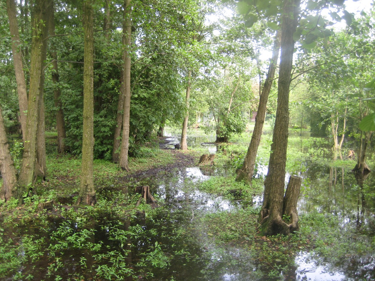 Vogelpark Niendorf - Walkthrough exhibit
