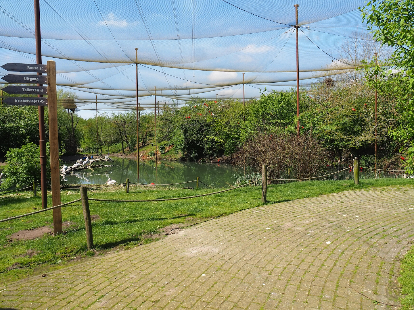 Vogelrijk/Bird Kingdom aviary, 2023-04-30