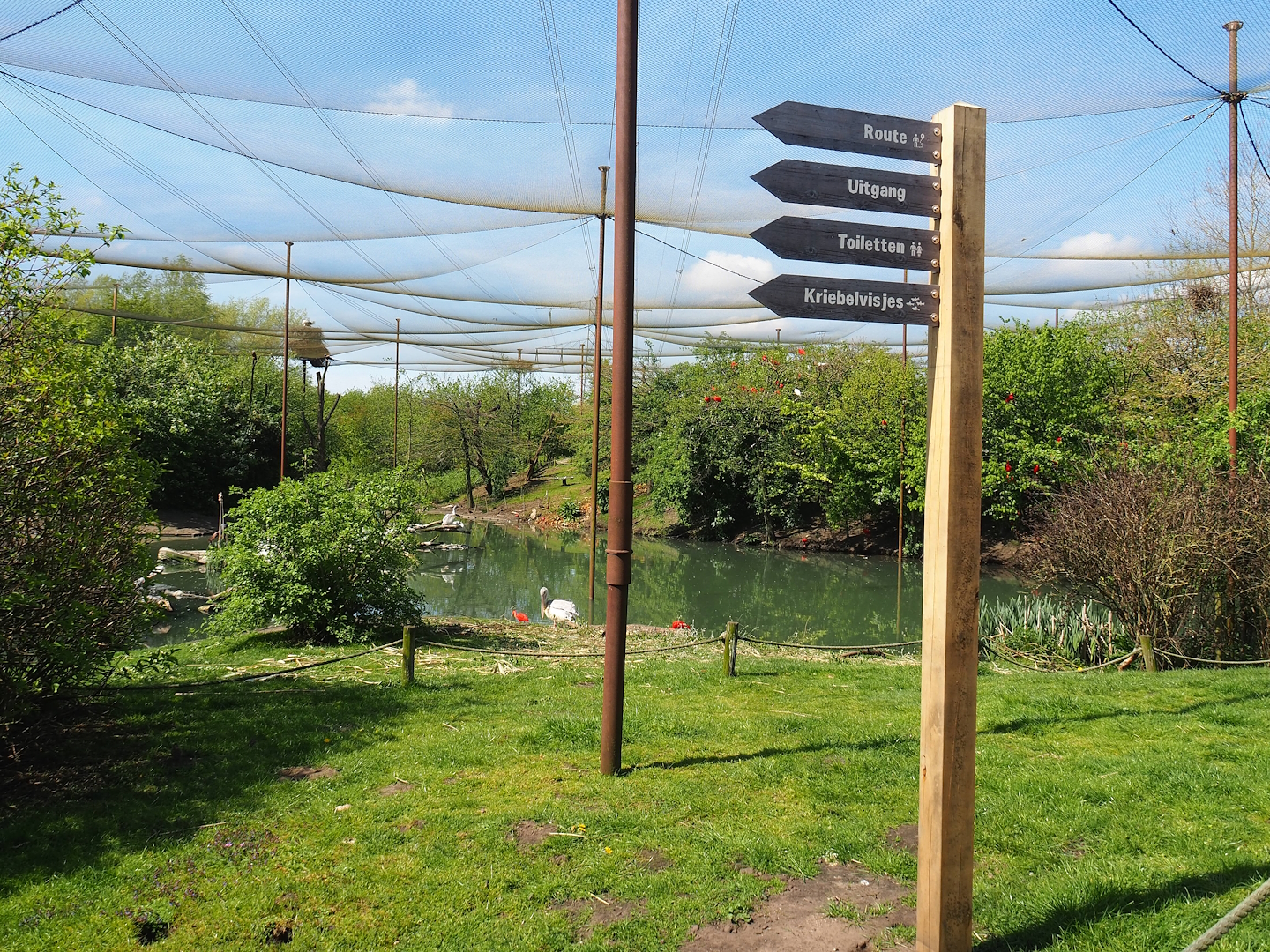 Vogelrijk/Bird Kingdom aviary, 2023-04-30