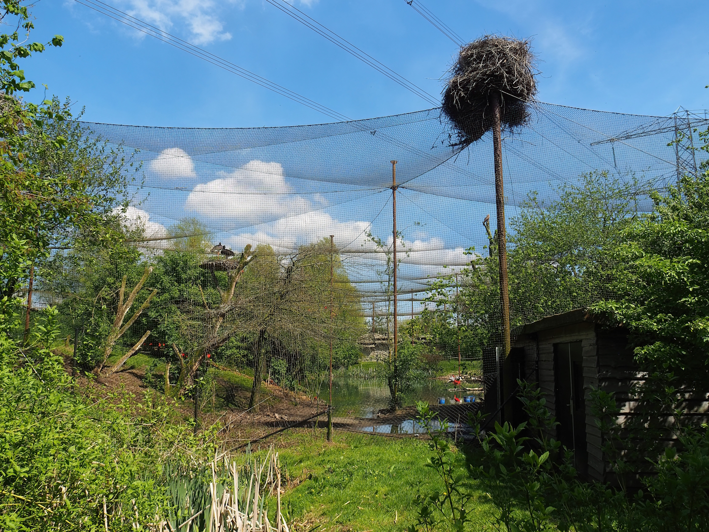Vogelrijk/Bird Kingdom aviary, 2023-04-30