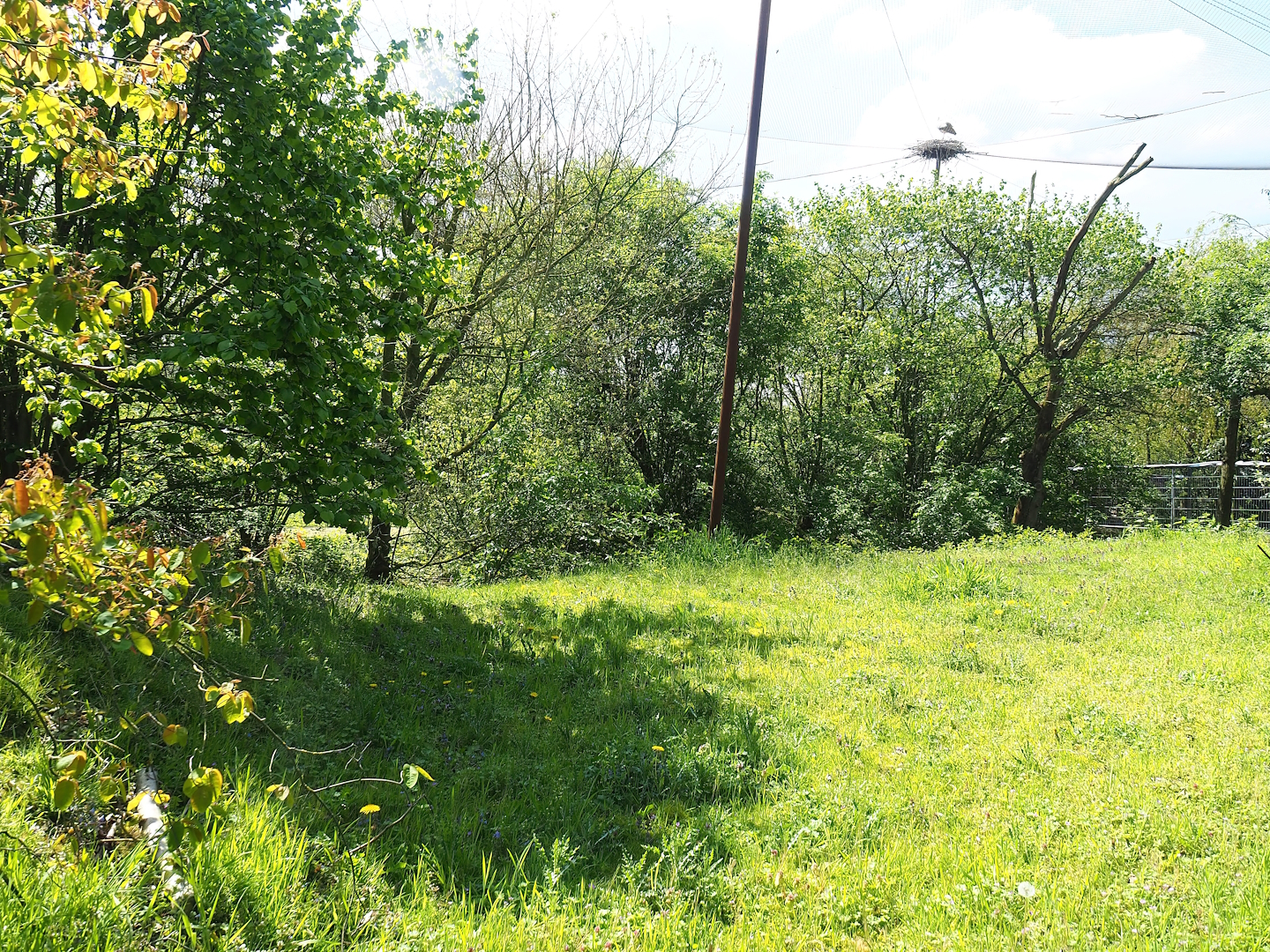 Vogelrijk/Bird Kingdom aviary - Area sectioned off behind the visitor viewing corridor, 2023-04-30