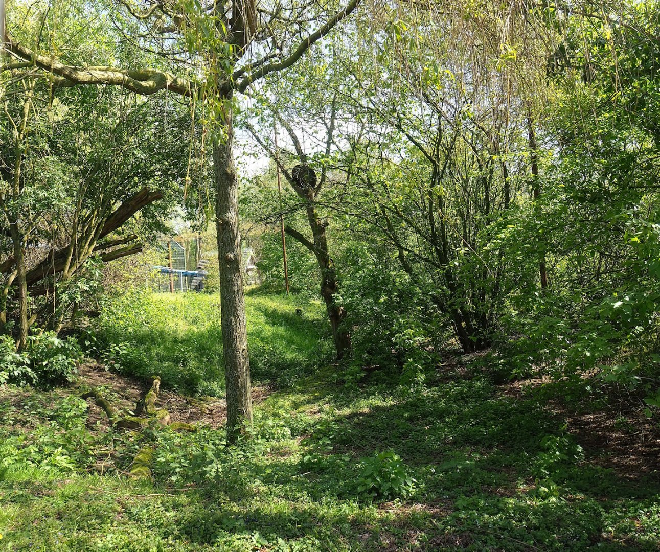 Vogelrijk/Bird Kingdom aviary - Area sectioned off behind the visitor viewing corridor, 2023-04-30