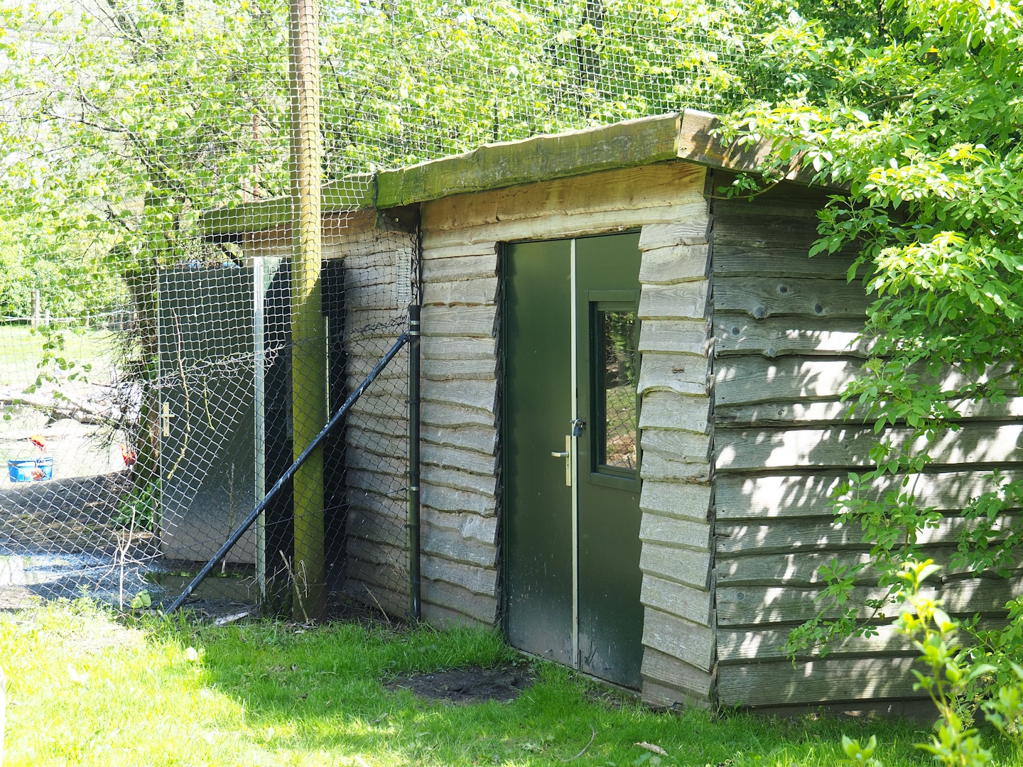 Vogelrijk/Bird Kingdom aviary barn, 2023-04-30
