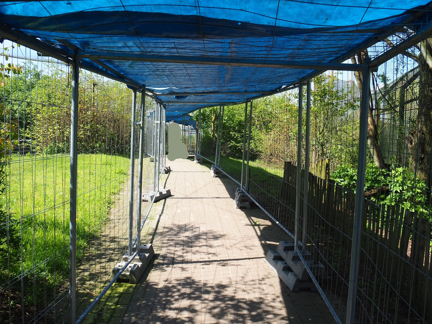 Vogelrijk/Bird Kingdom aviary - Improvised temporary viewing area because of avian influenza, 2023-04-30
