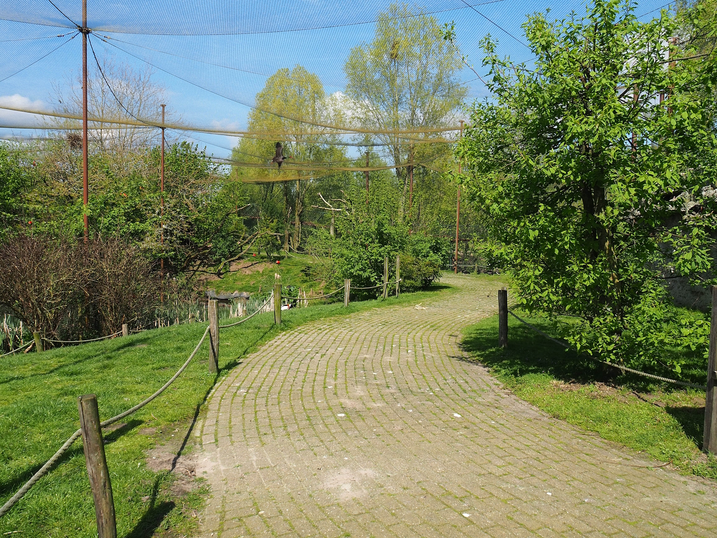 Vogelrijk/Bird Kingdom aviary - Walkway closed because of avian influenza, 2023-04-30
