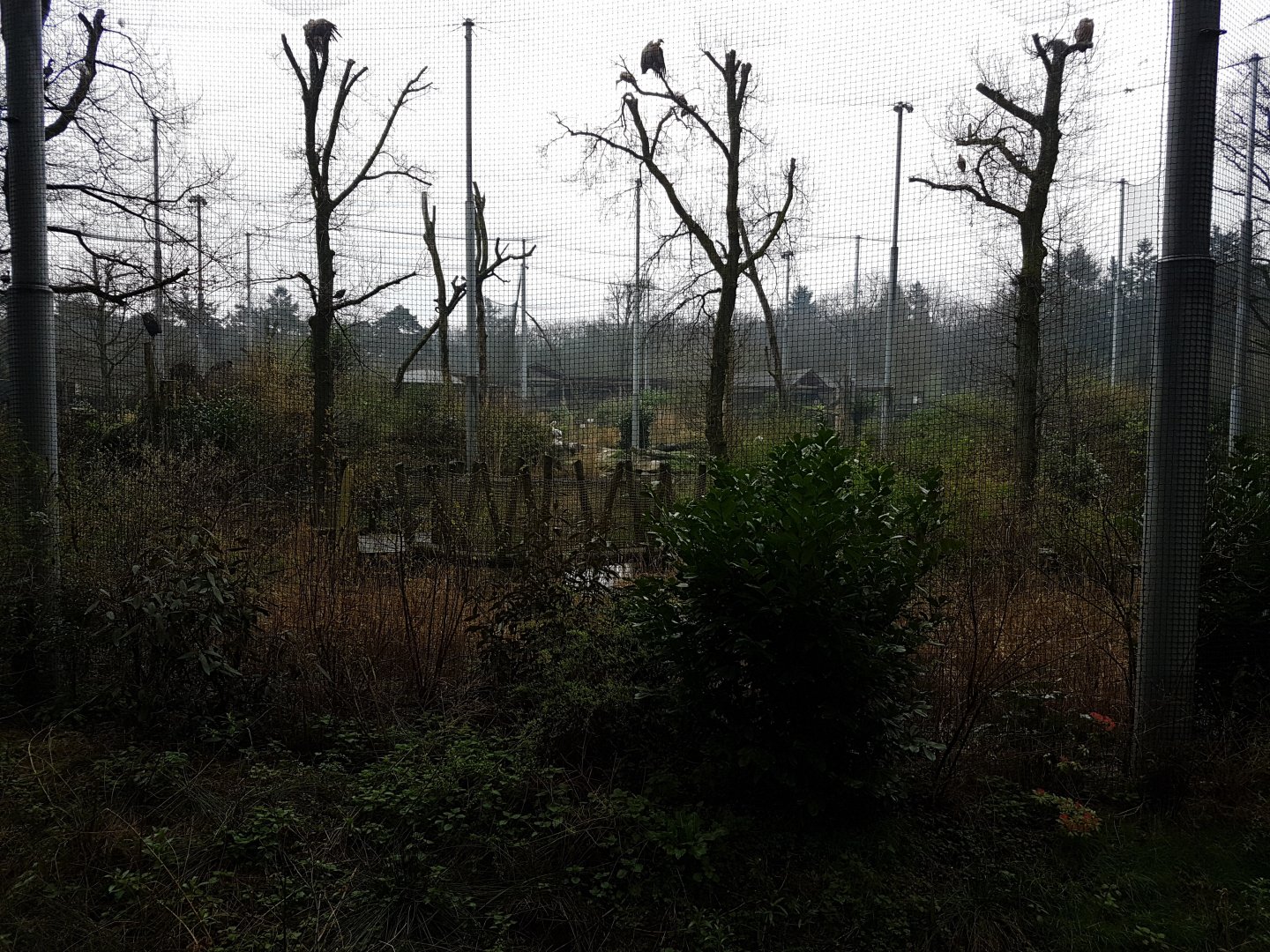Vogelrijk - Walk-through aviary