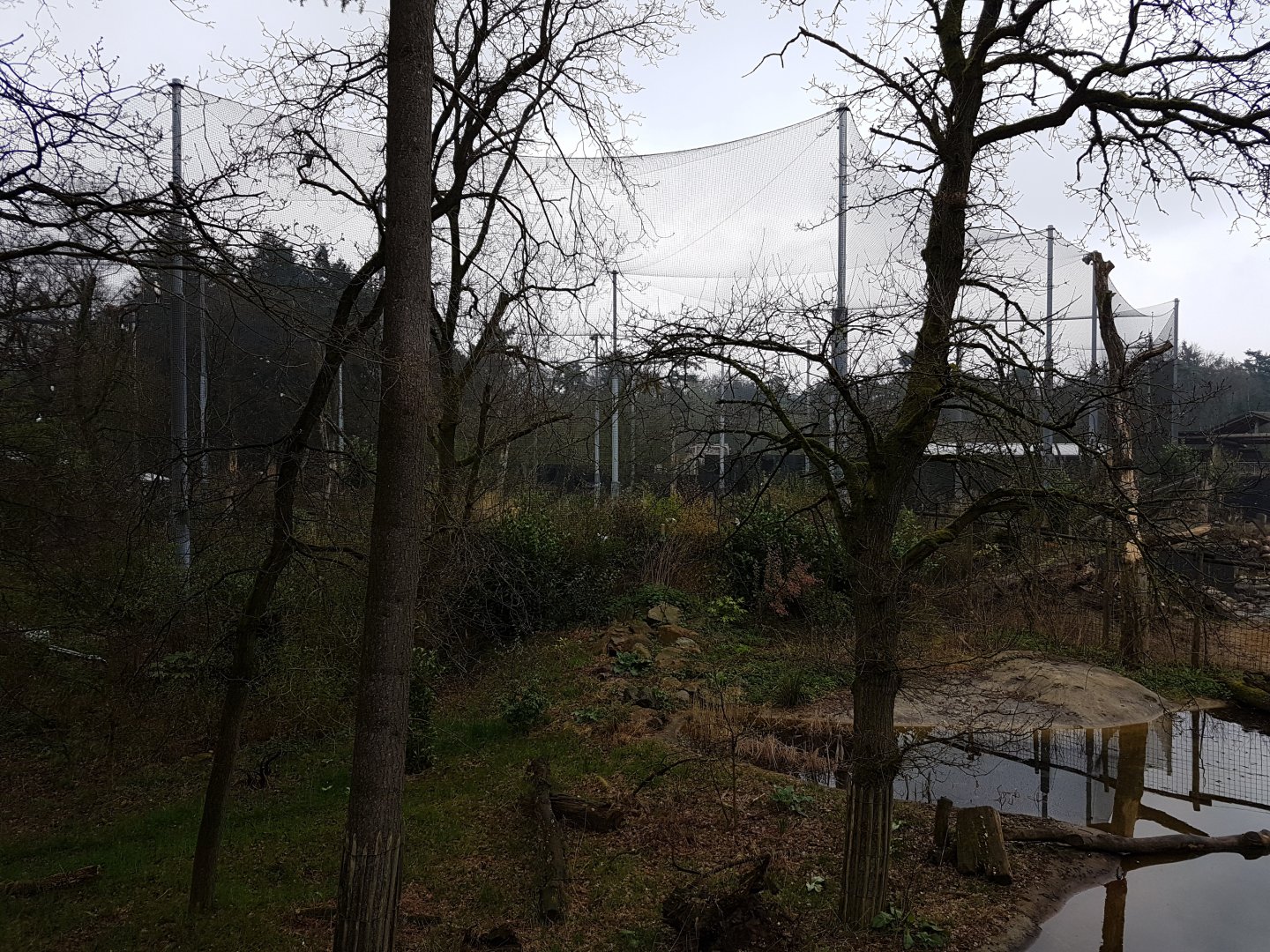 Vogelrijk - Walk-through aviary