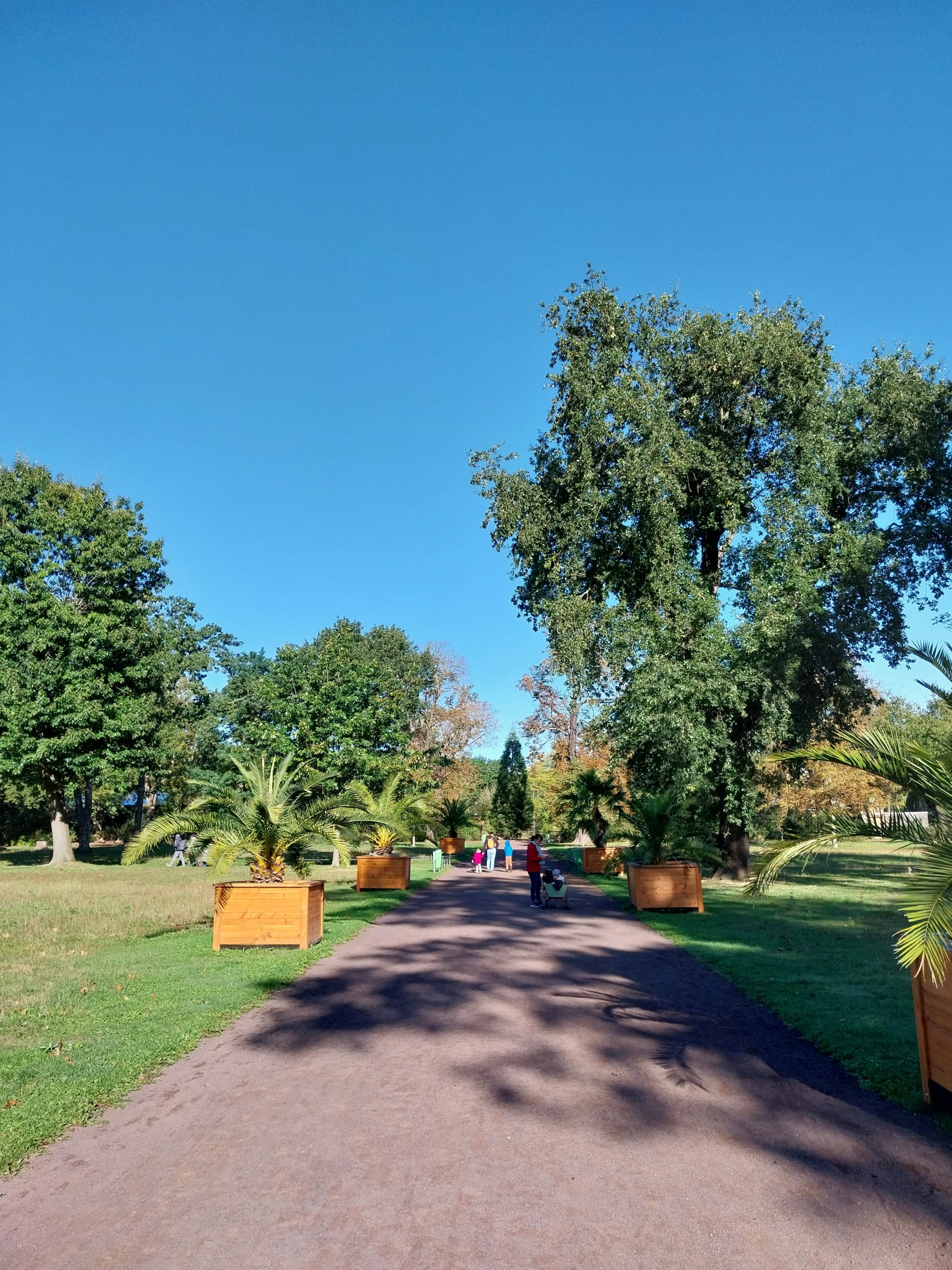 Vogelsang Park