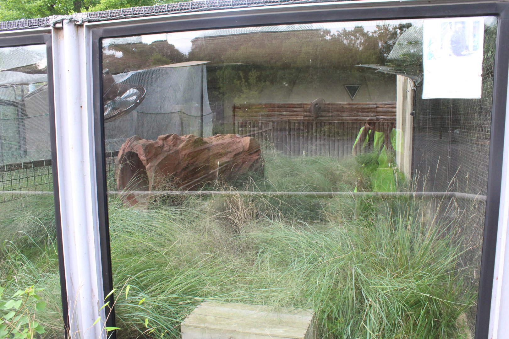 Volcanic rabbit exhibit