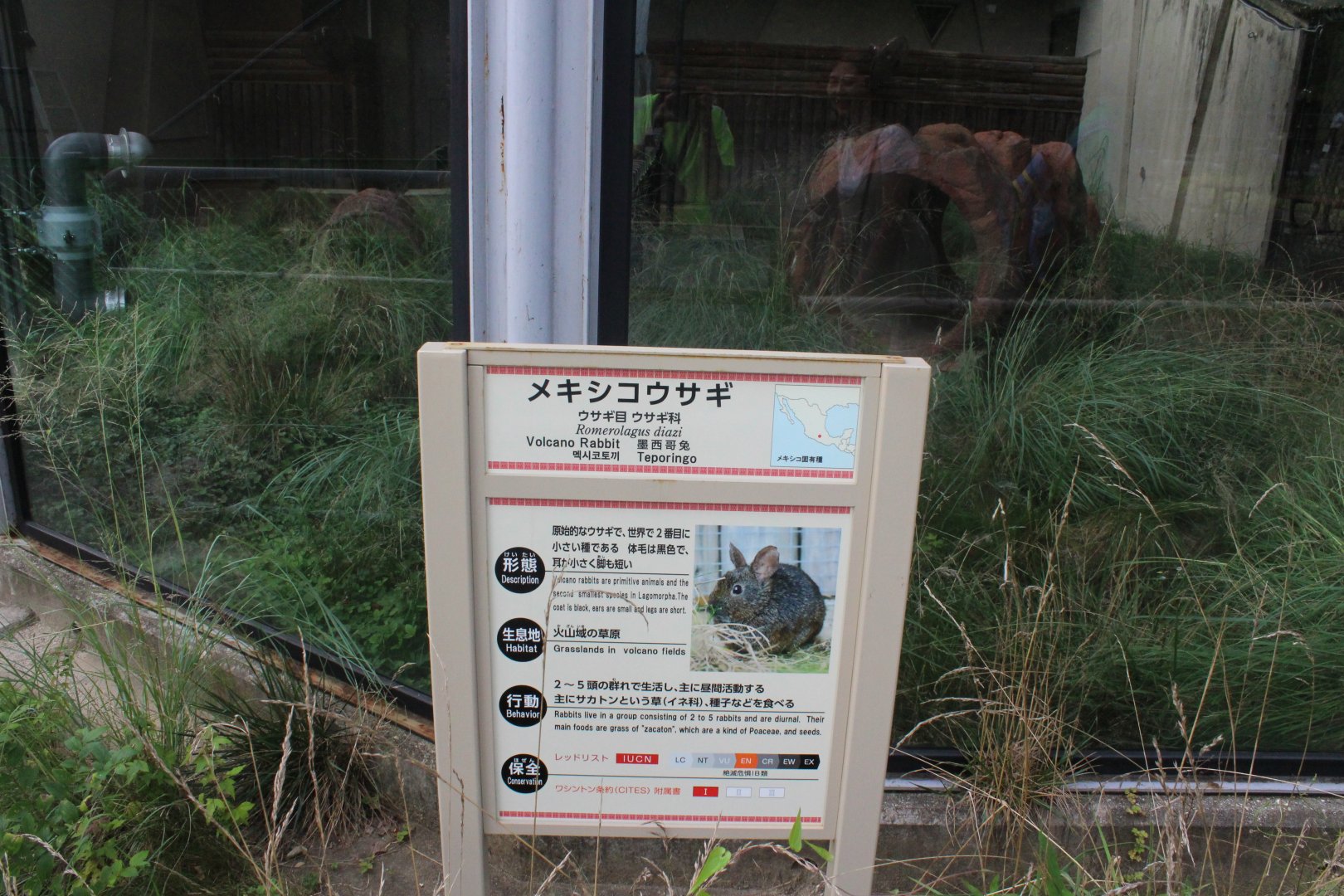 Volcanic rabbit sign