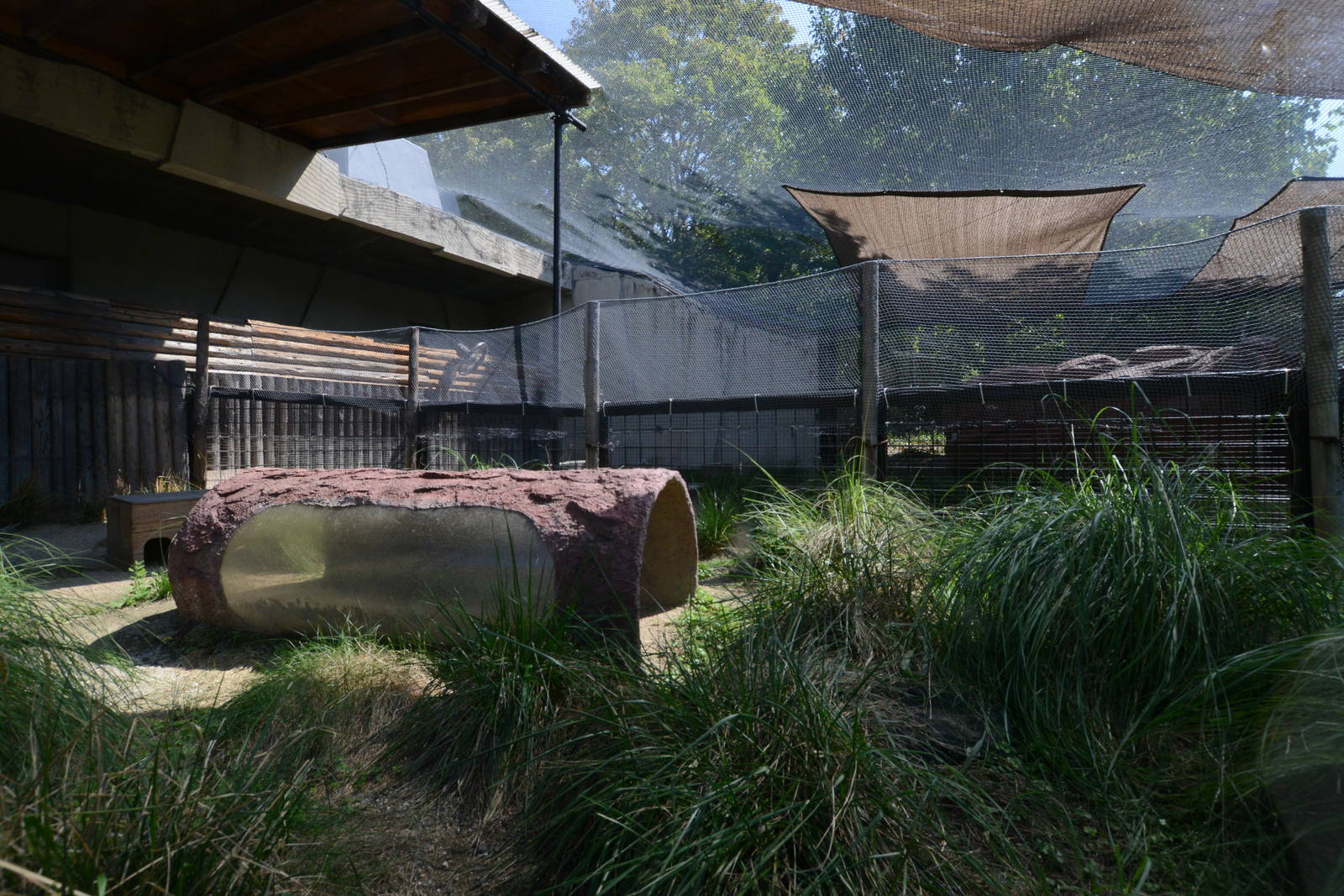 Volcano rabbit enclosure