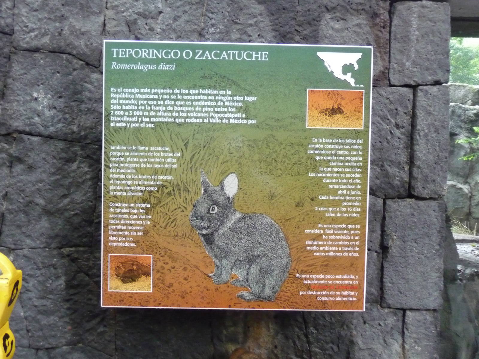 Volcano Rabbit or Teporingo Sign Chapultepec Zoo