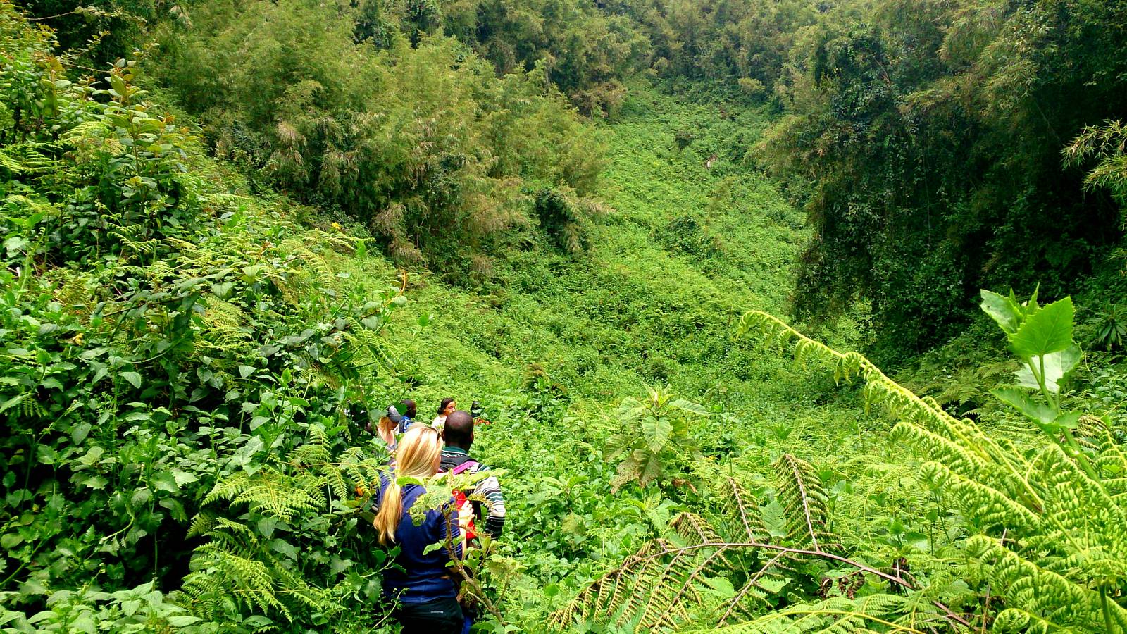 volcanoes national park