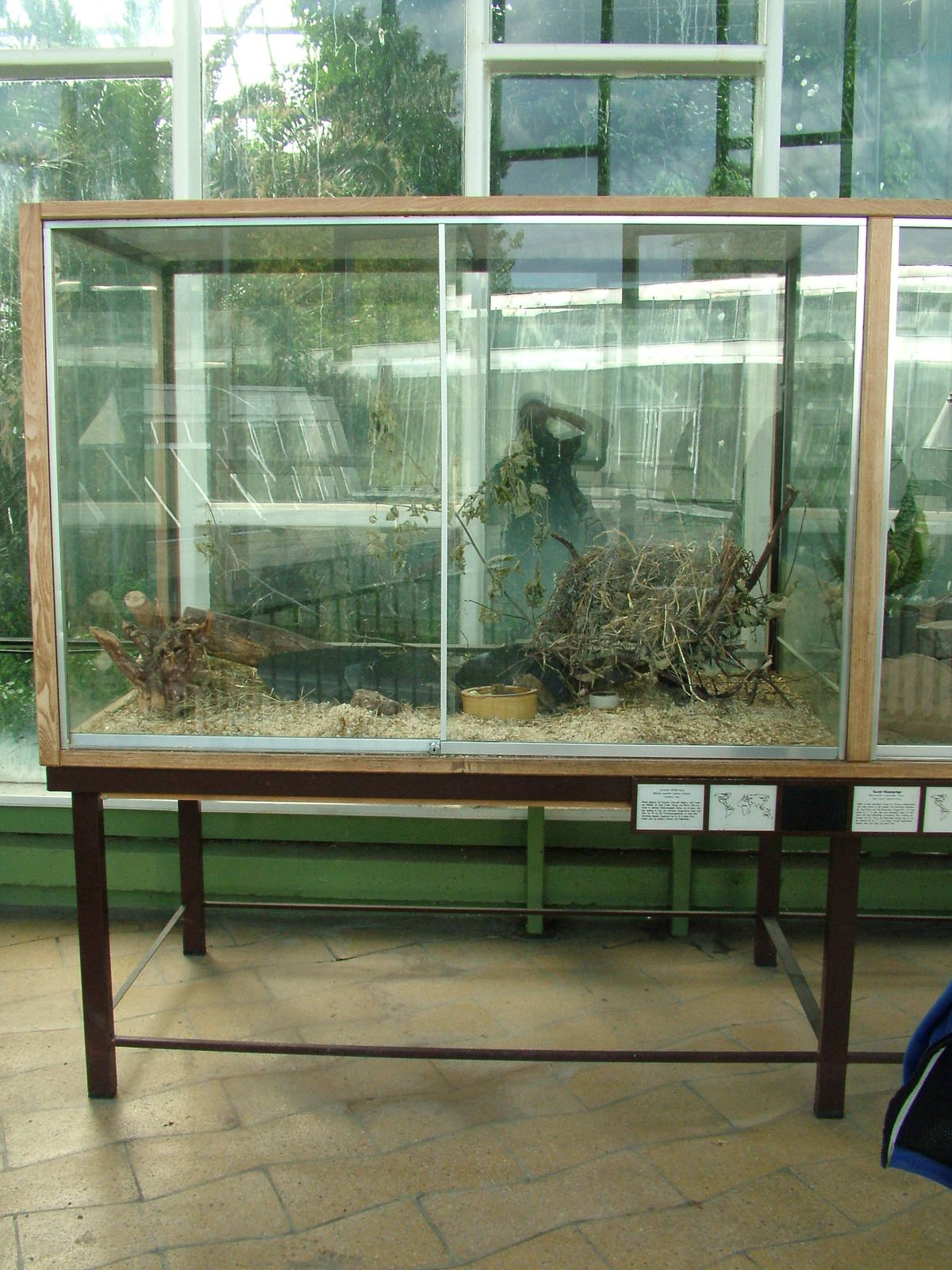 Vole Exhibit at Tierpark Berlin, 01/09/11