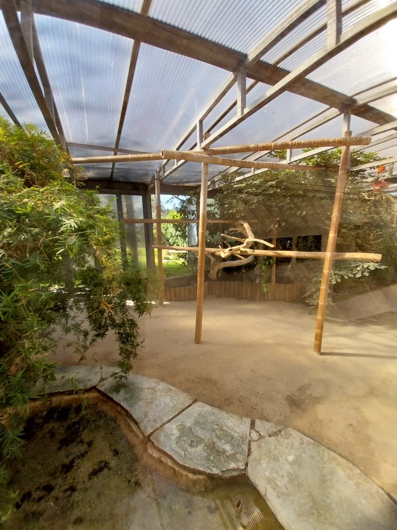 Volière des ibis - Winter quarters