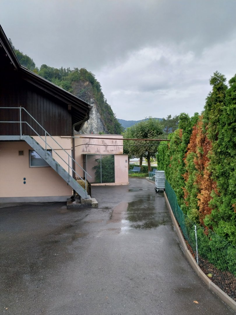 Volière Stansstad - budgerigar aviary
