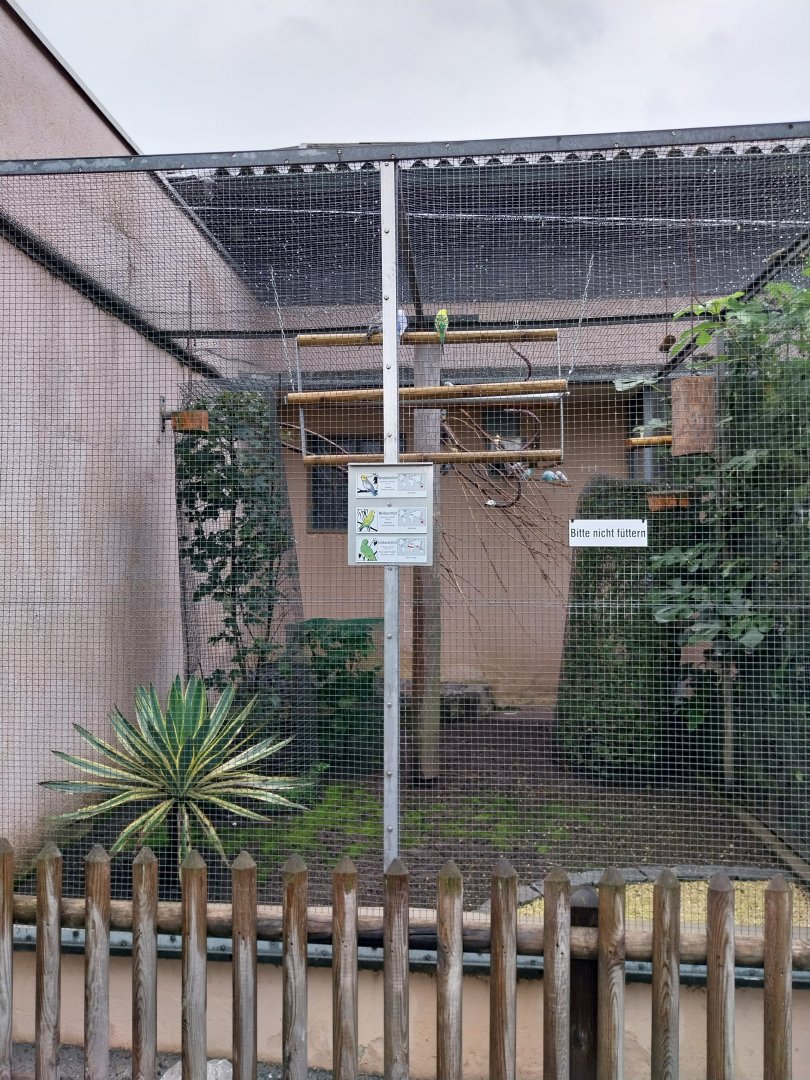 Volière Stansstad - Budgerigar, cockatiel and rose-ringed parakeet aviary