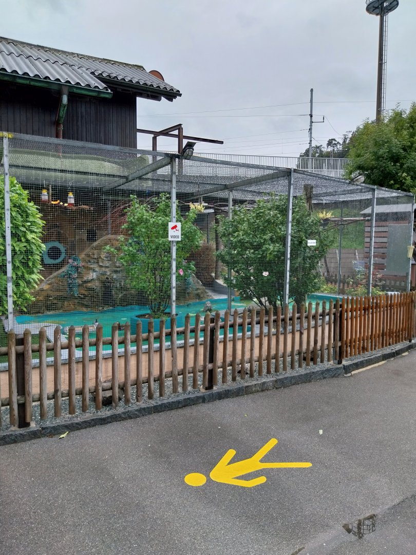 Volière Stansstad - Wetland aviary