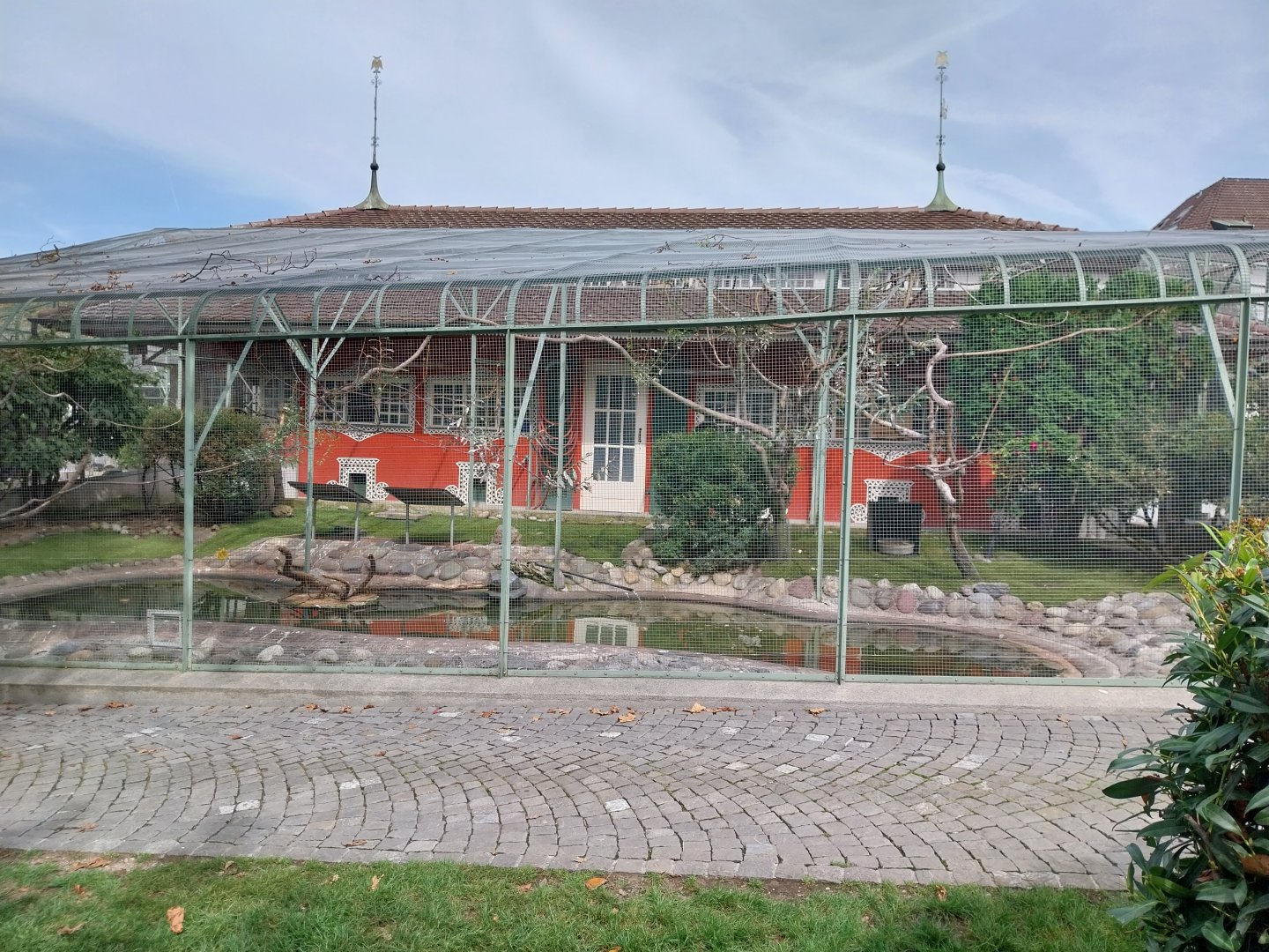 Volière Zug - Fasanerie - Wading bird aviary