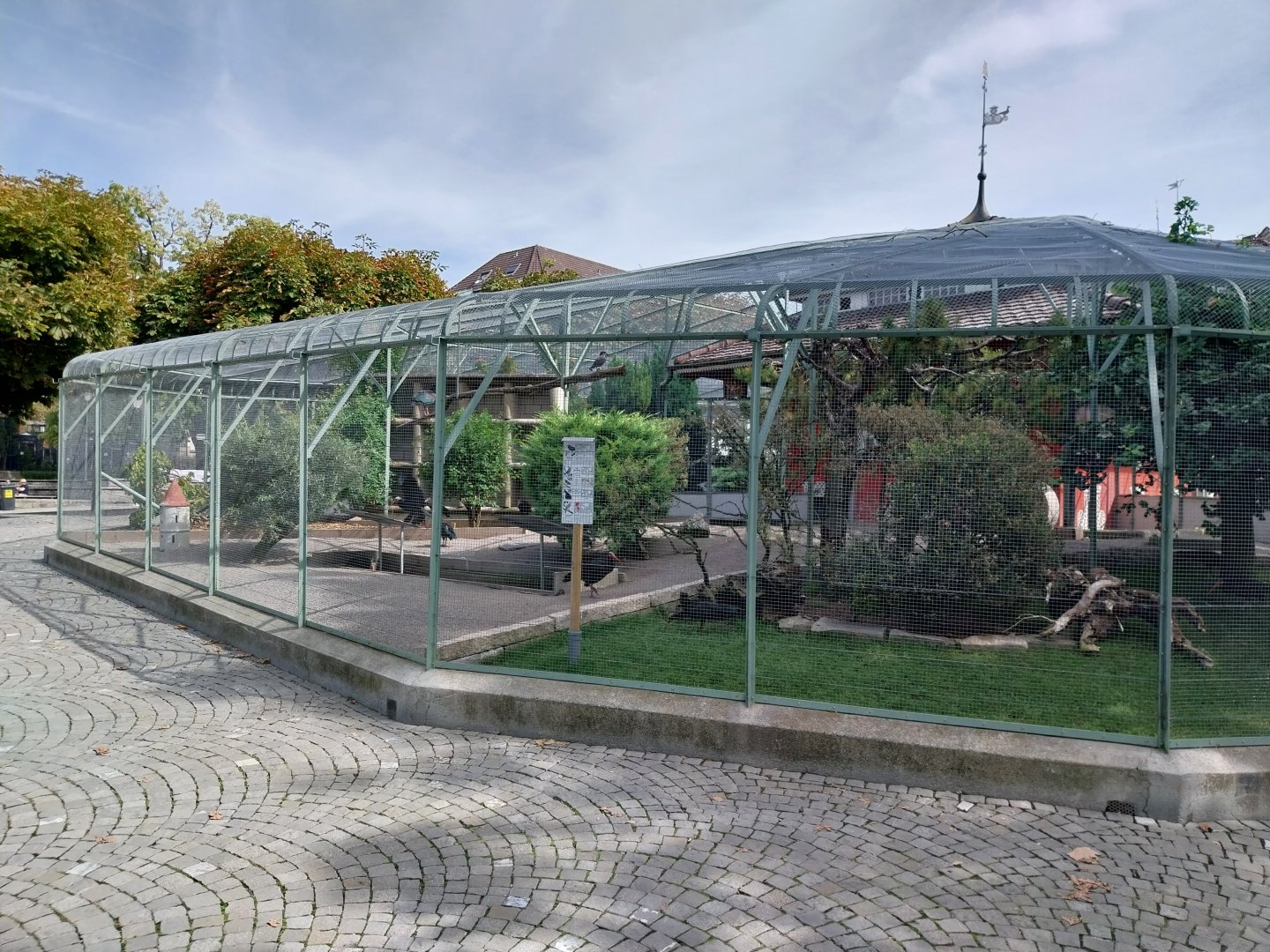 Volière Zug - Fasanerie