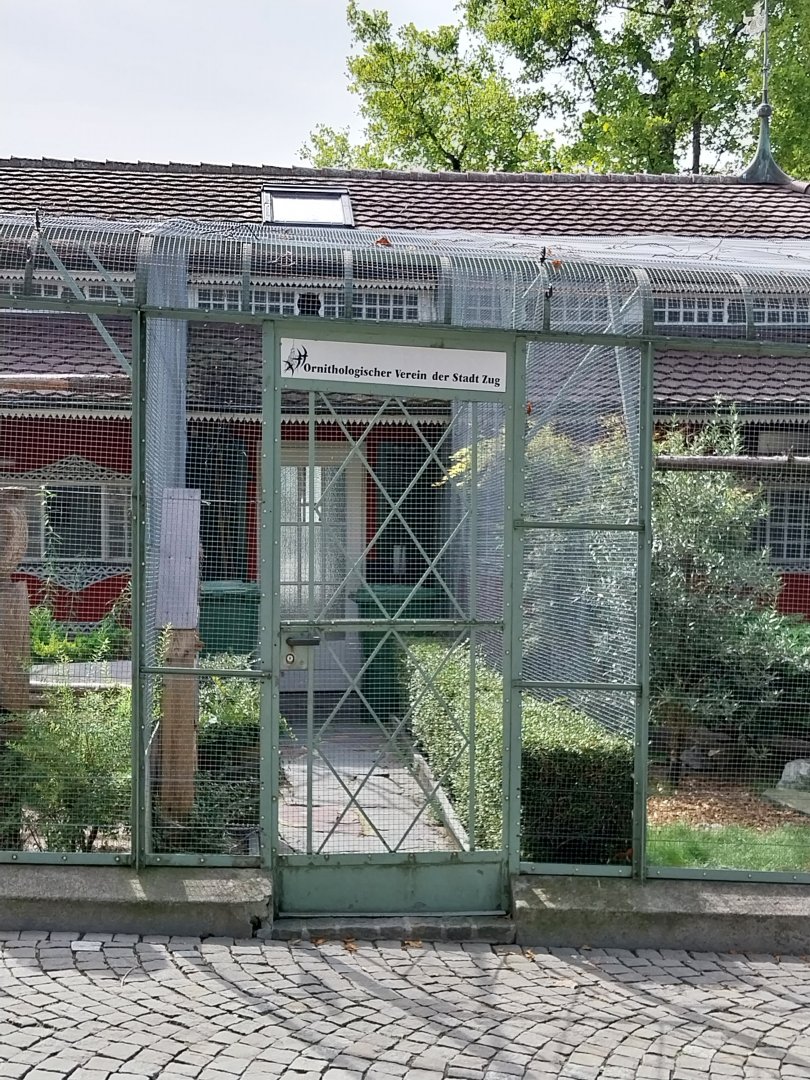 Volière Zug - Fasanerie